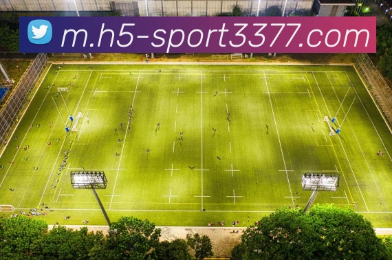 3377体育平台生态图