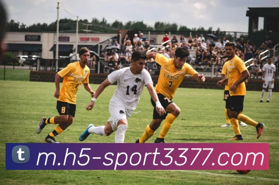 3377体育APP 封面图